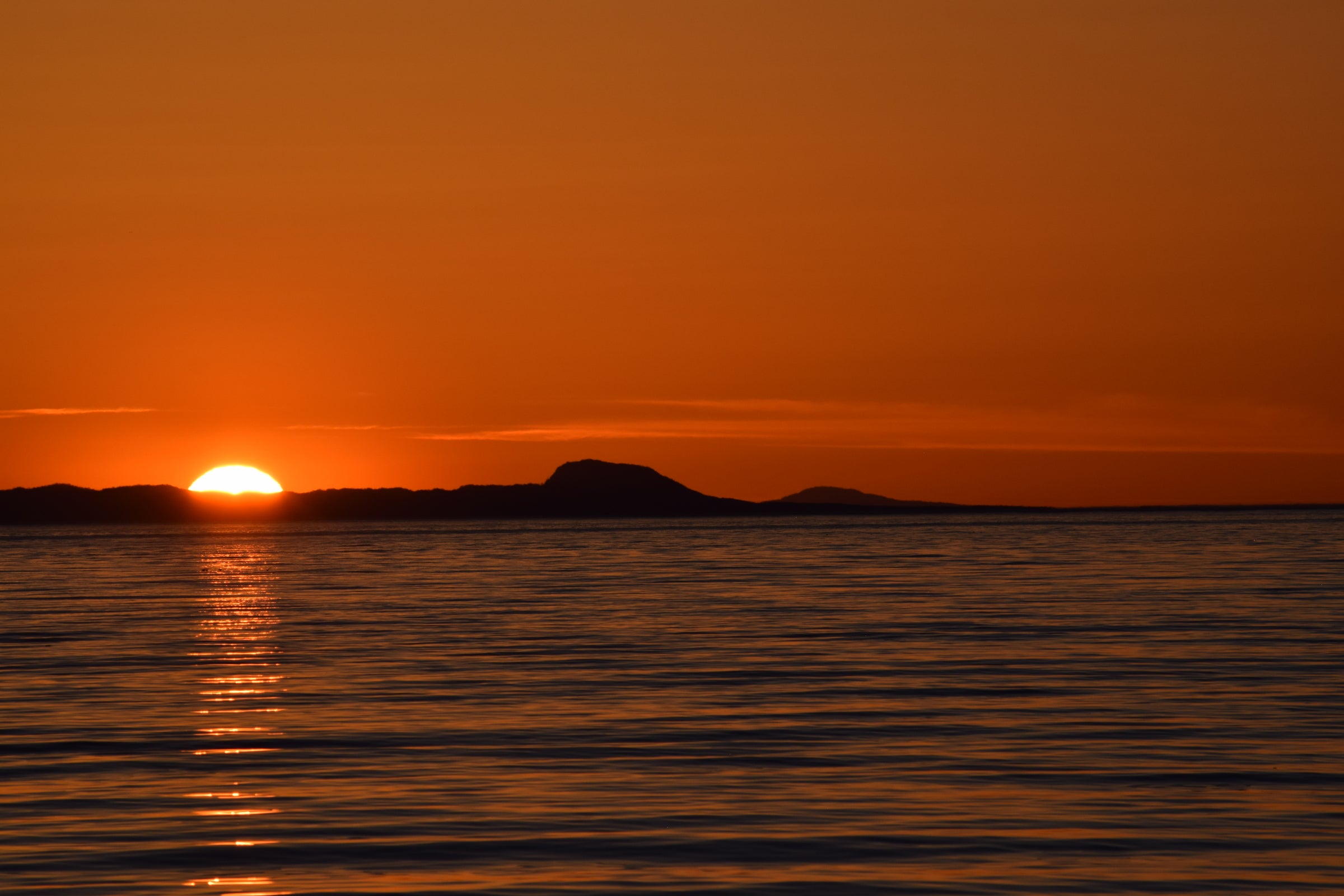 your-ultimate-luxury-kachemak-bay-yacht-cruise-lady-of-the-sea-adventures